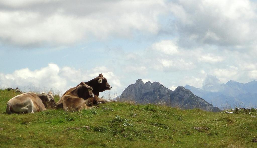 Alpenhotel Steirerhof Tauplitzalm Eksteriør billede